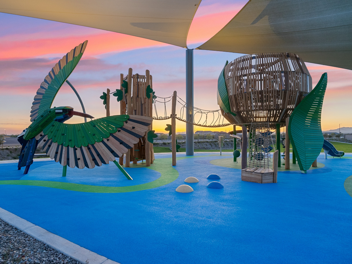 A pool with a few plants in it.