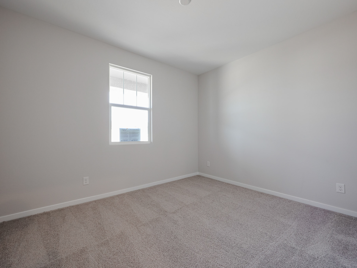 A room with a window and a carpet.