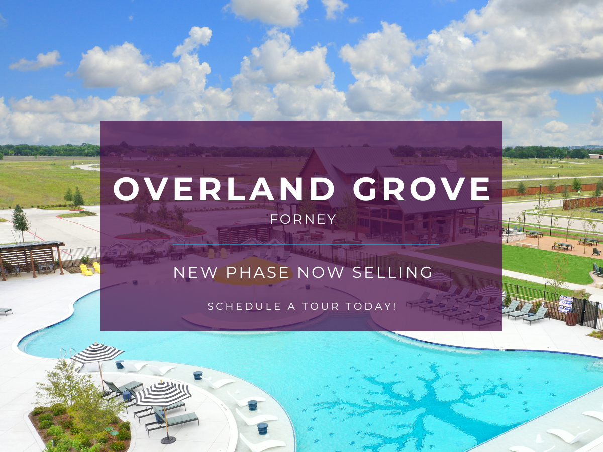 A screenshot of a video game.