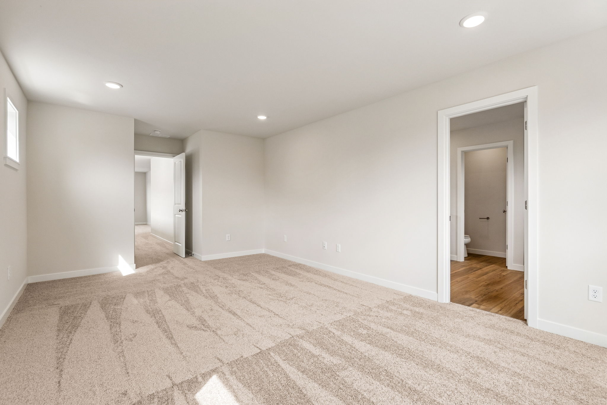 A room with a carpet and a door.